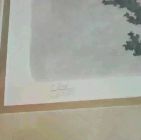 Leo P Donahue-"Unicornfish" Print 174/350 - Picture 4 of 6